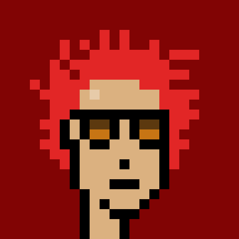 Punk #8863