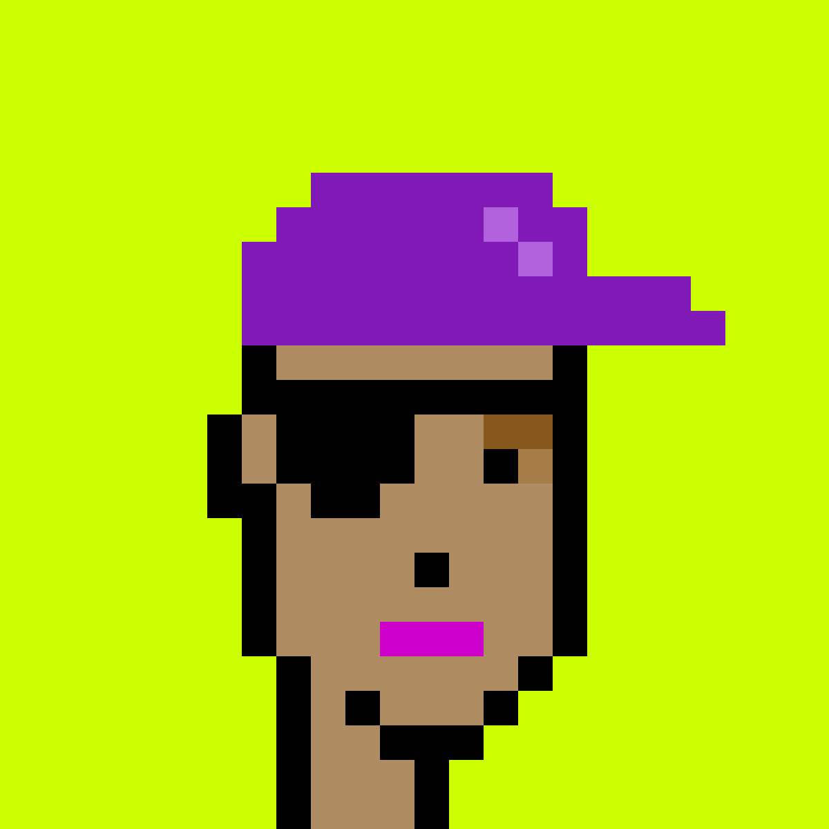 Punk #8078