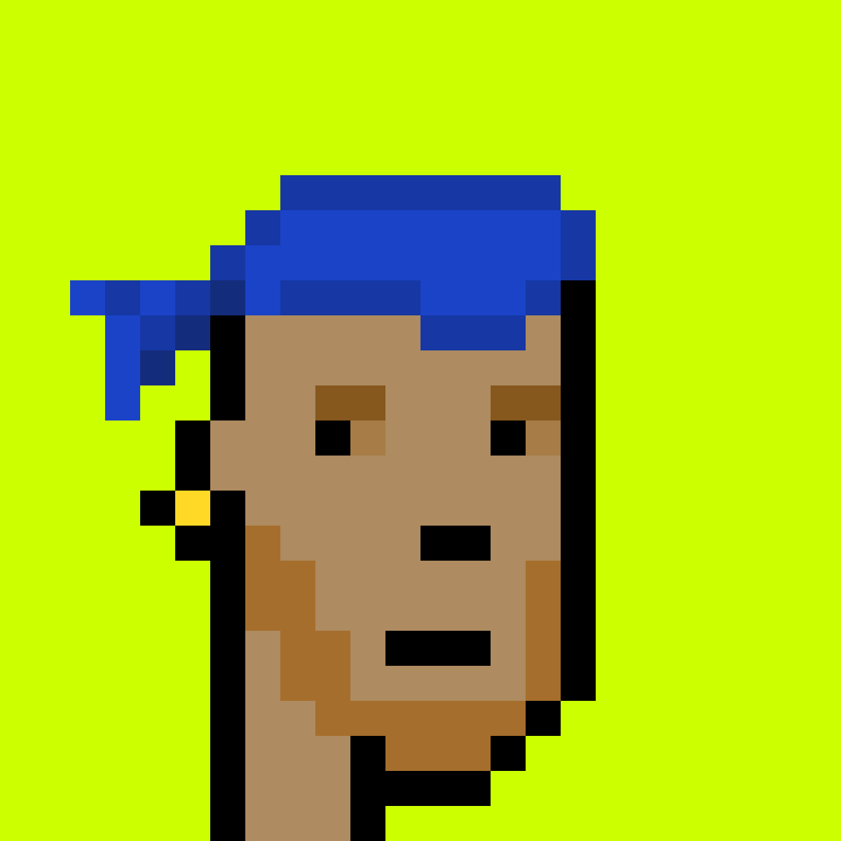Punk #8144