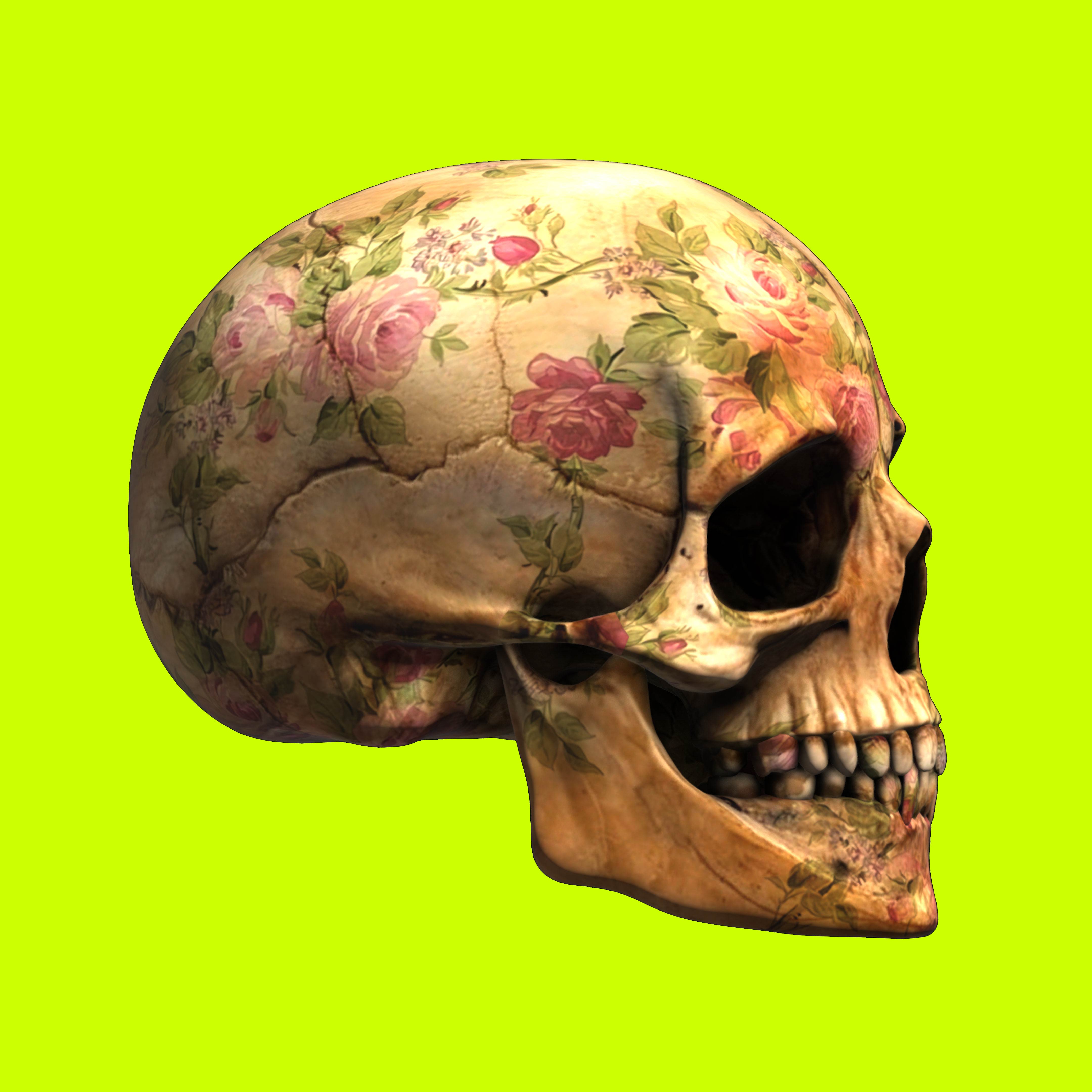 GraveX #1702