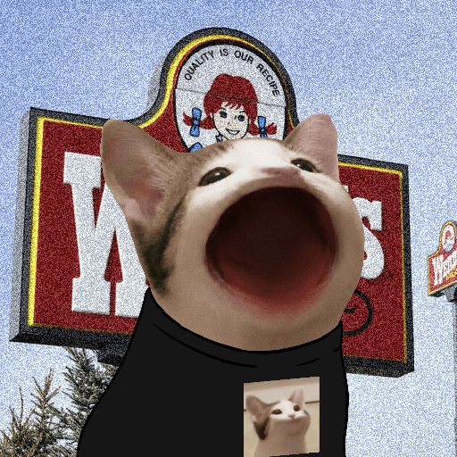 PopHoodCat #4640