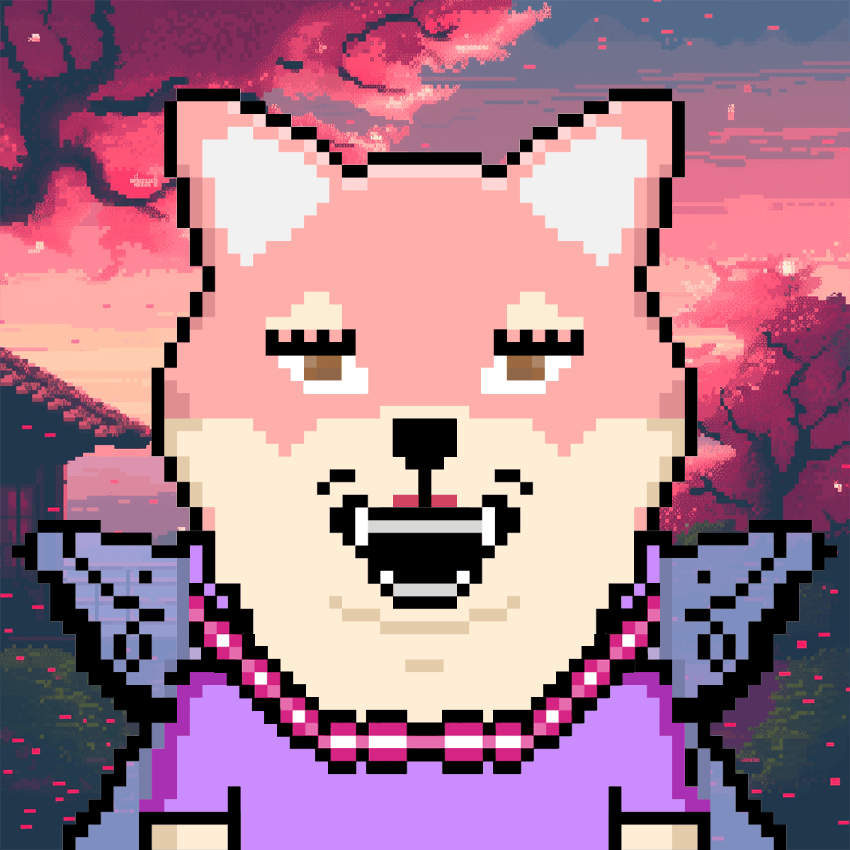 Cash Shibas #10375