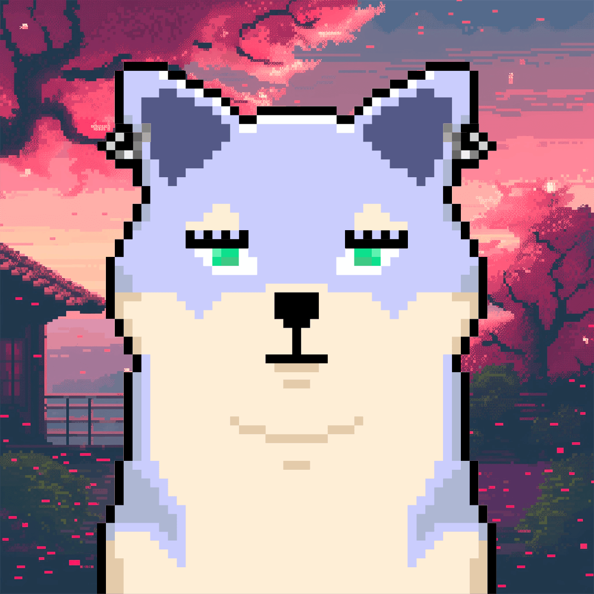 Cash Shibas #10644