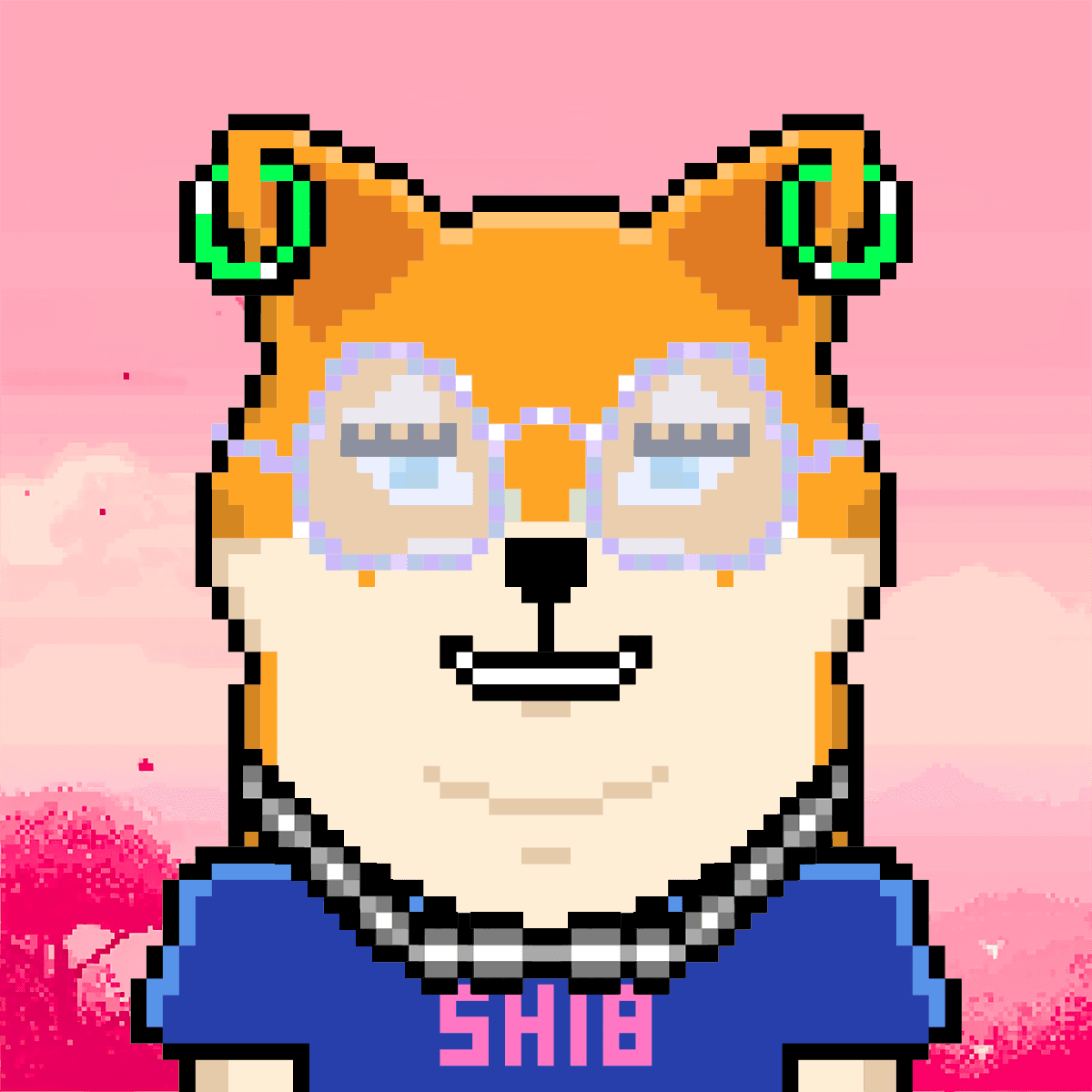 Cash Shibas #10647