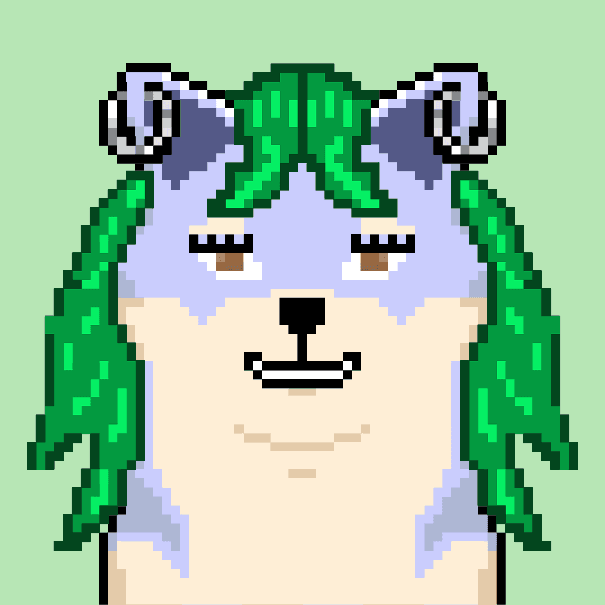Cash Shibas #10648