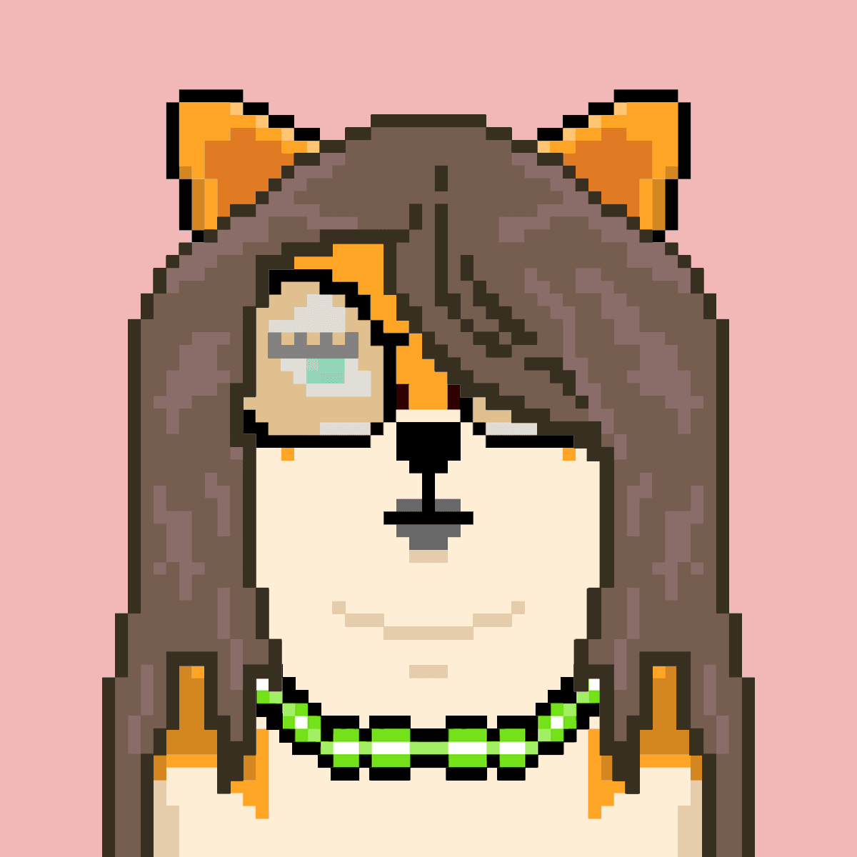Cash Shibas #10768