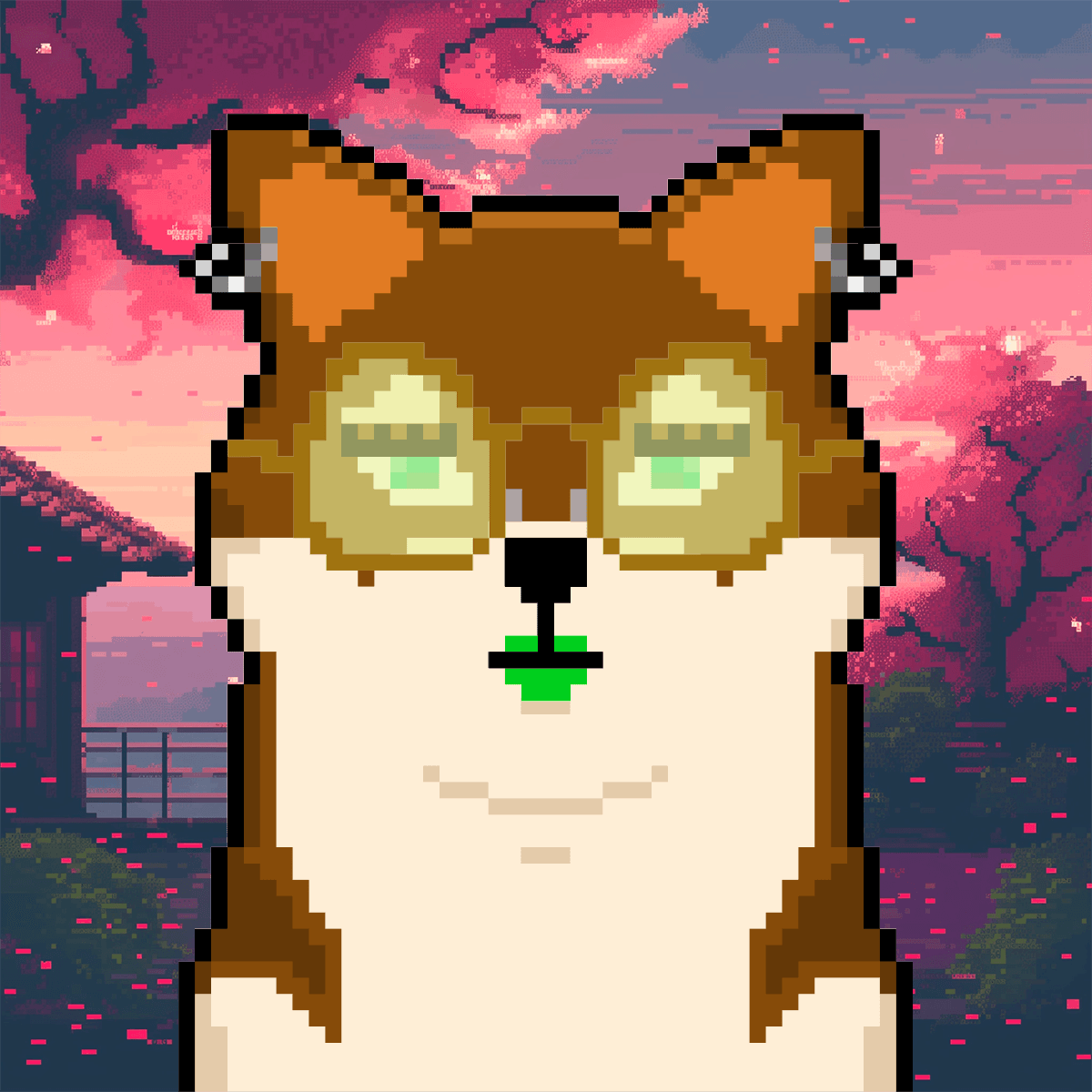 Cash Shibas #10771