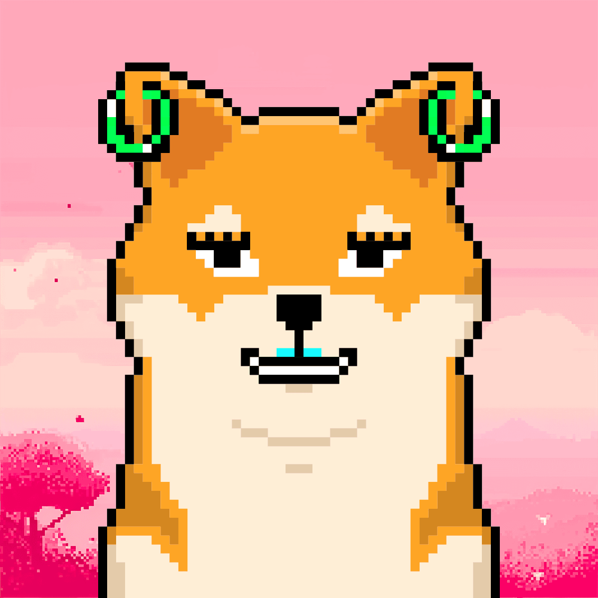 Cash Shibas #10781