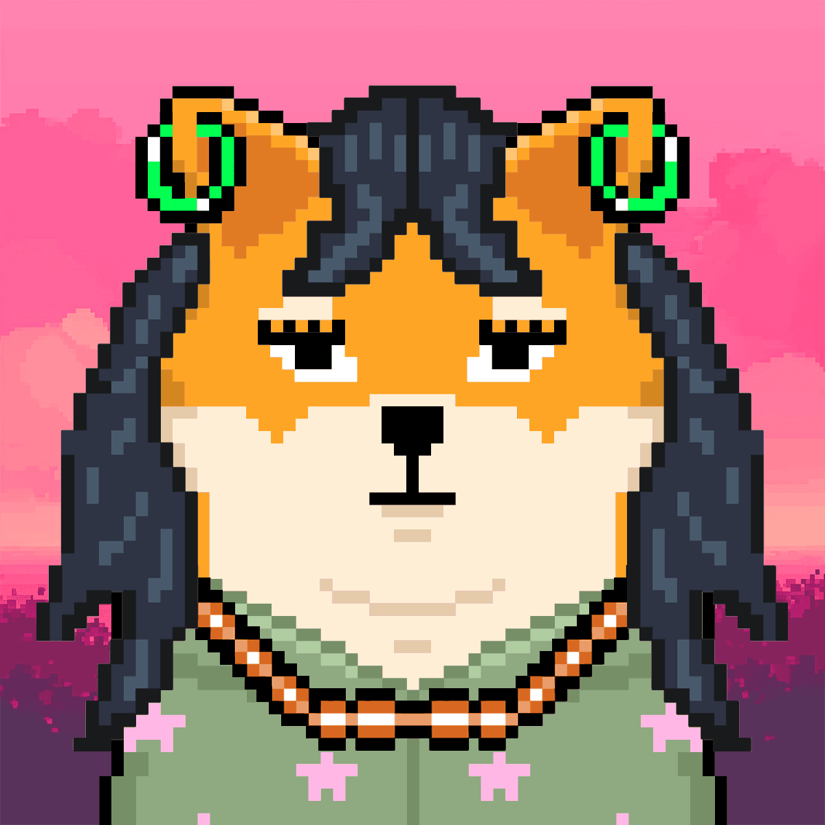 Cash Shibas #10790