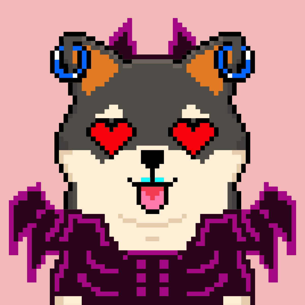 Cash Shibas #10794