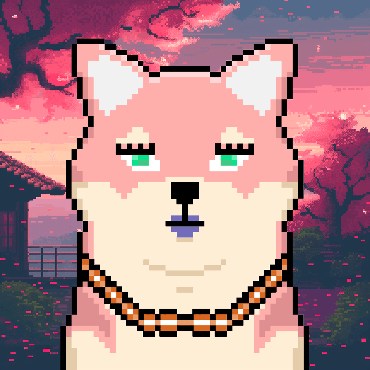 Cash Shibas #10799