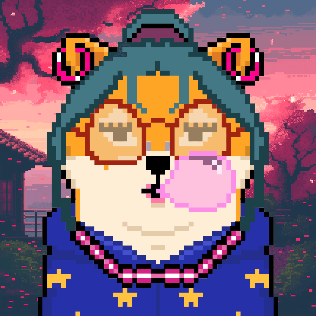 Cash Shibas #10805