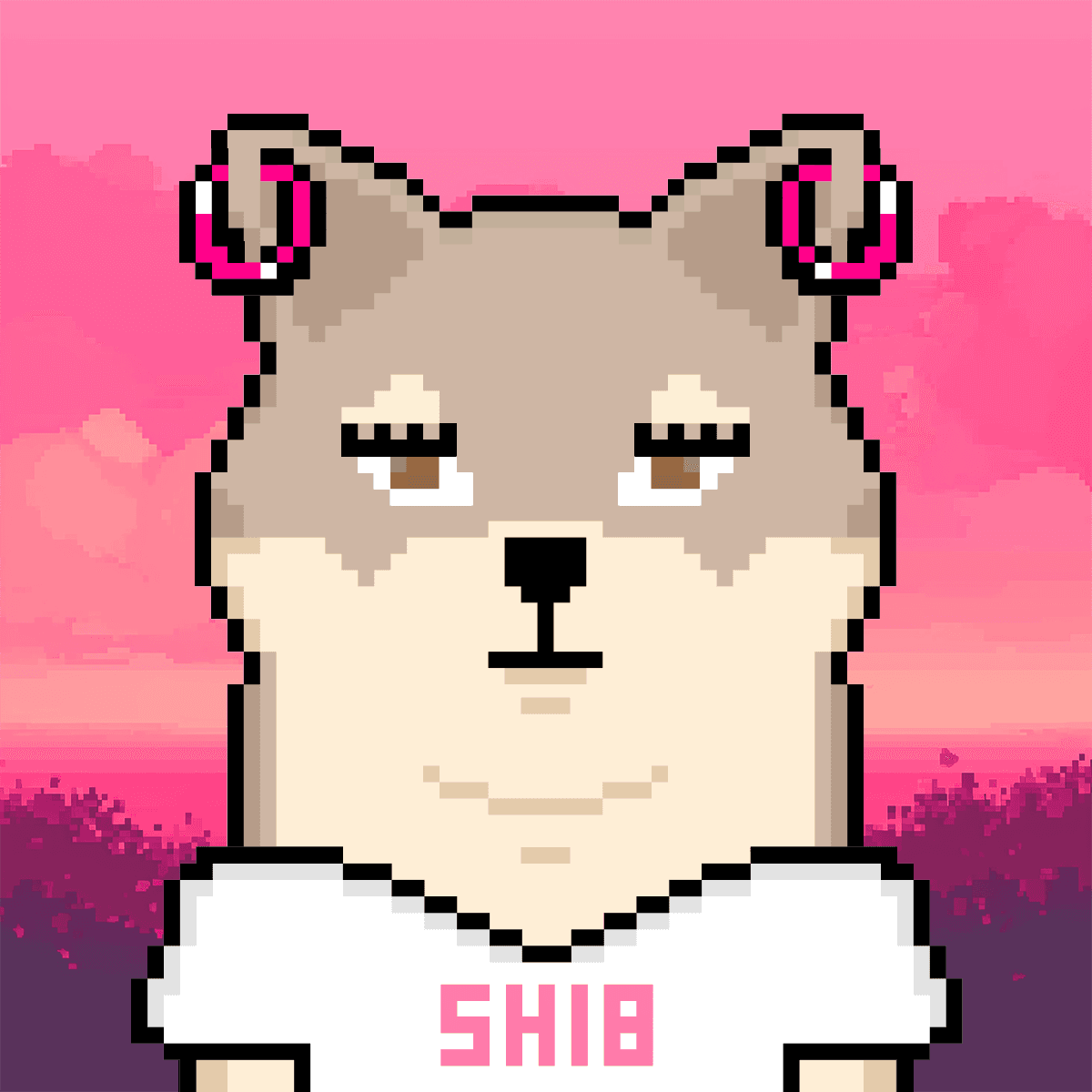 Cash Shibas #10811
