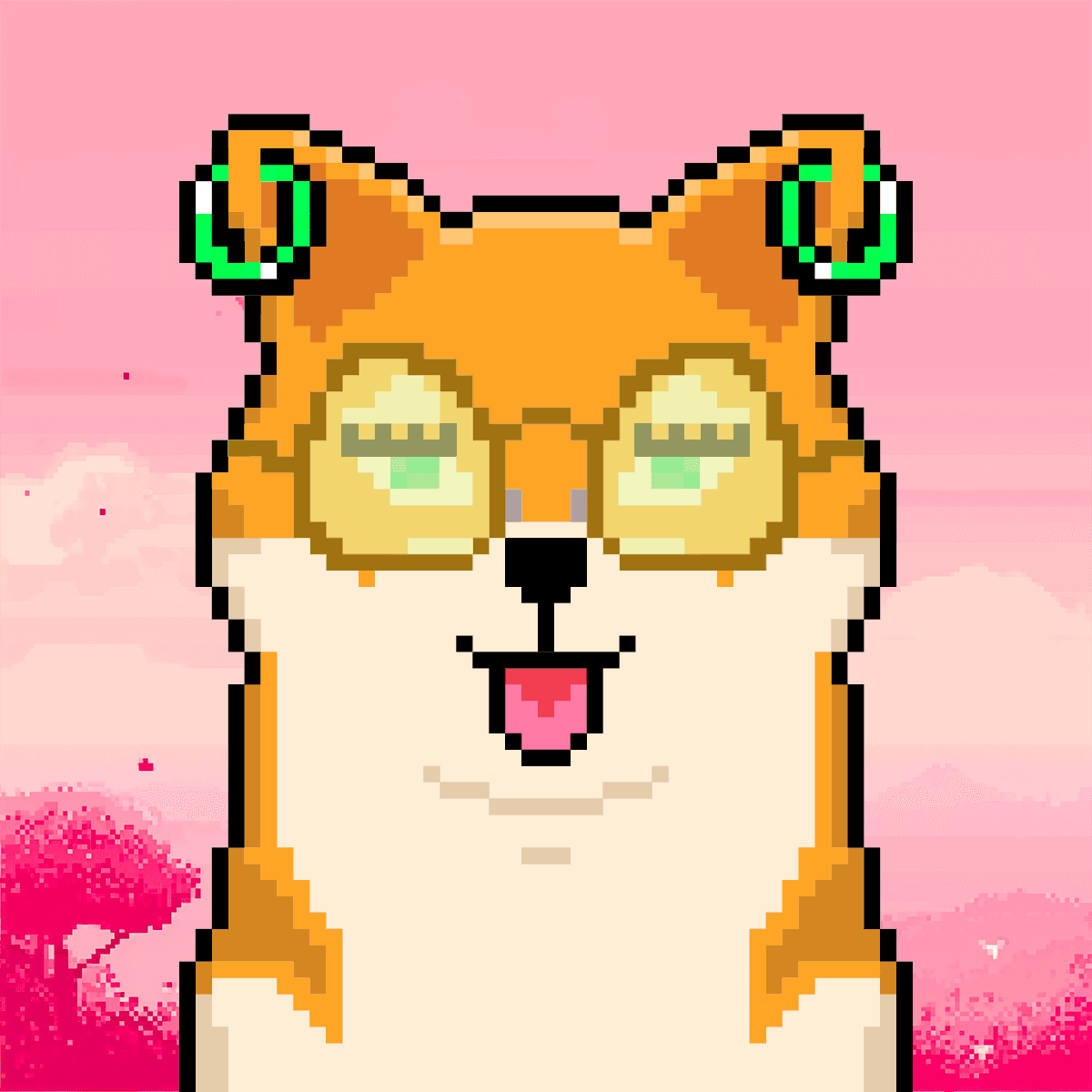 Cash Shibas #116