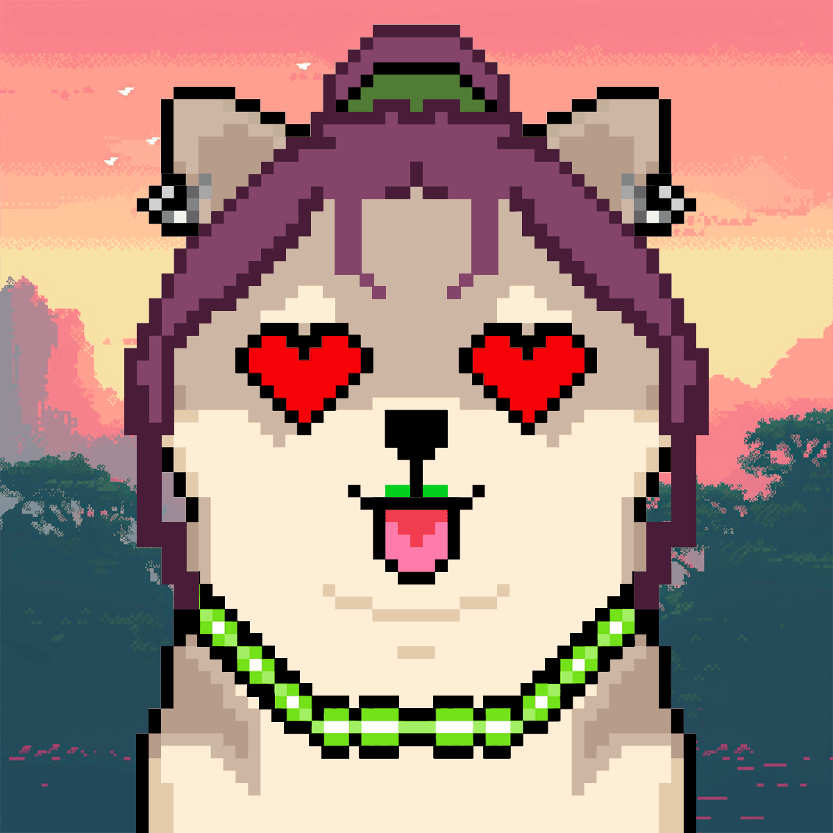 Cash Shibas #4050