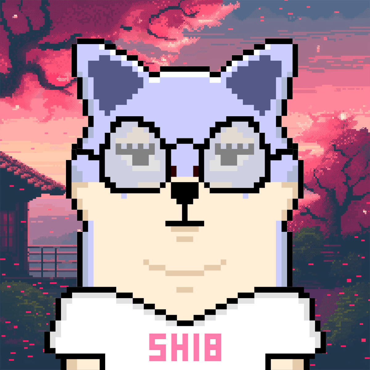 Cash Shibas #6201