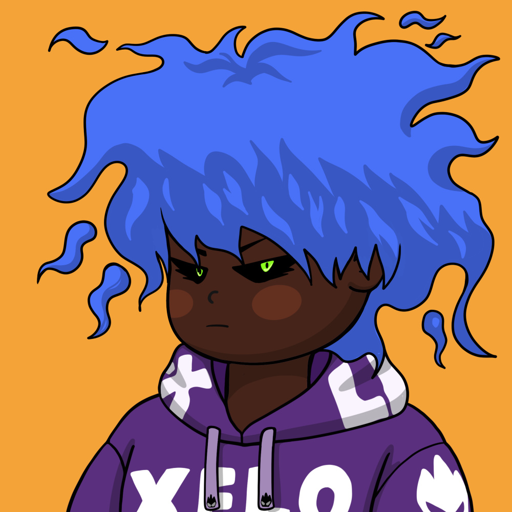 XELOHOOD #2507