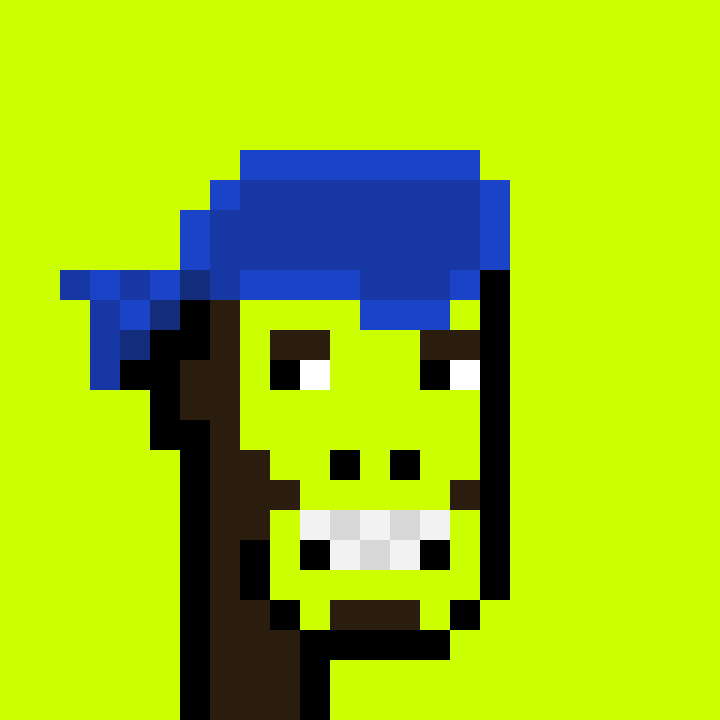 Bored Punk Hood #3347