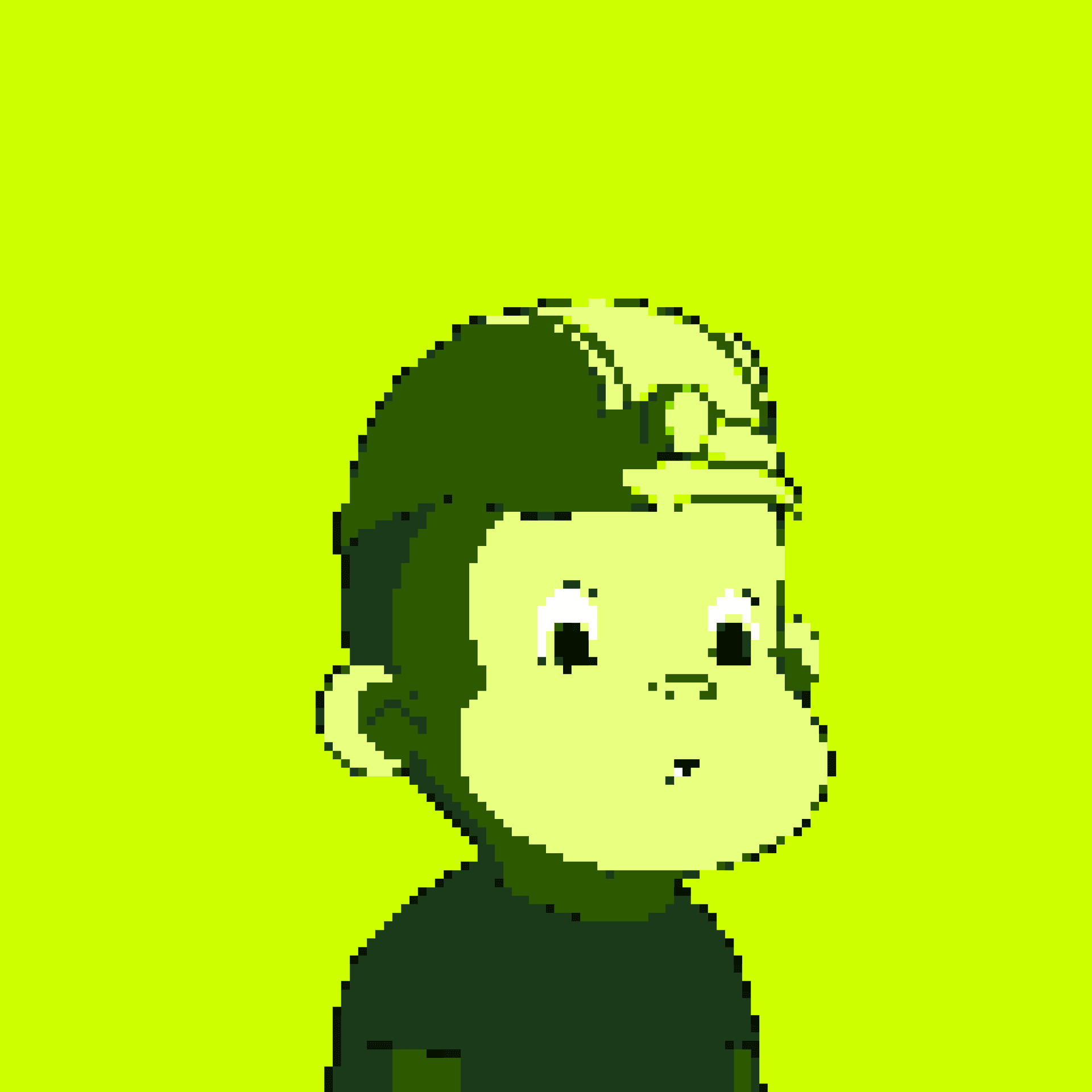 Hood Primate #1145