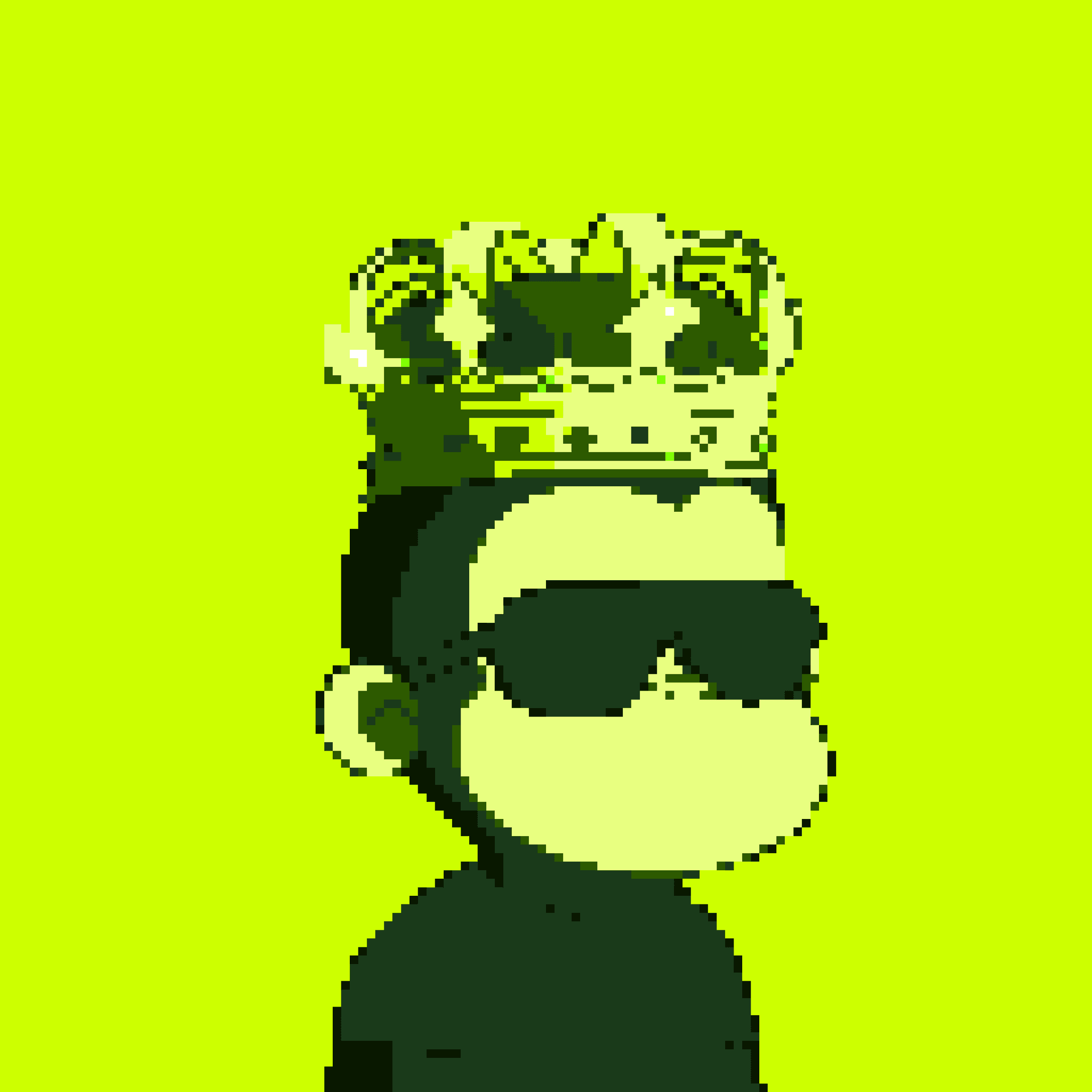 Hood Primate #2304