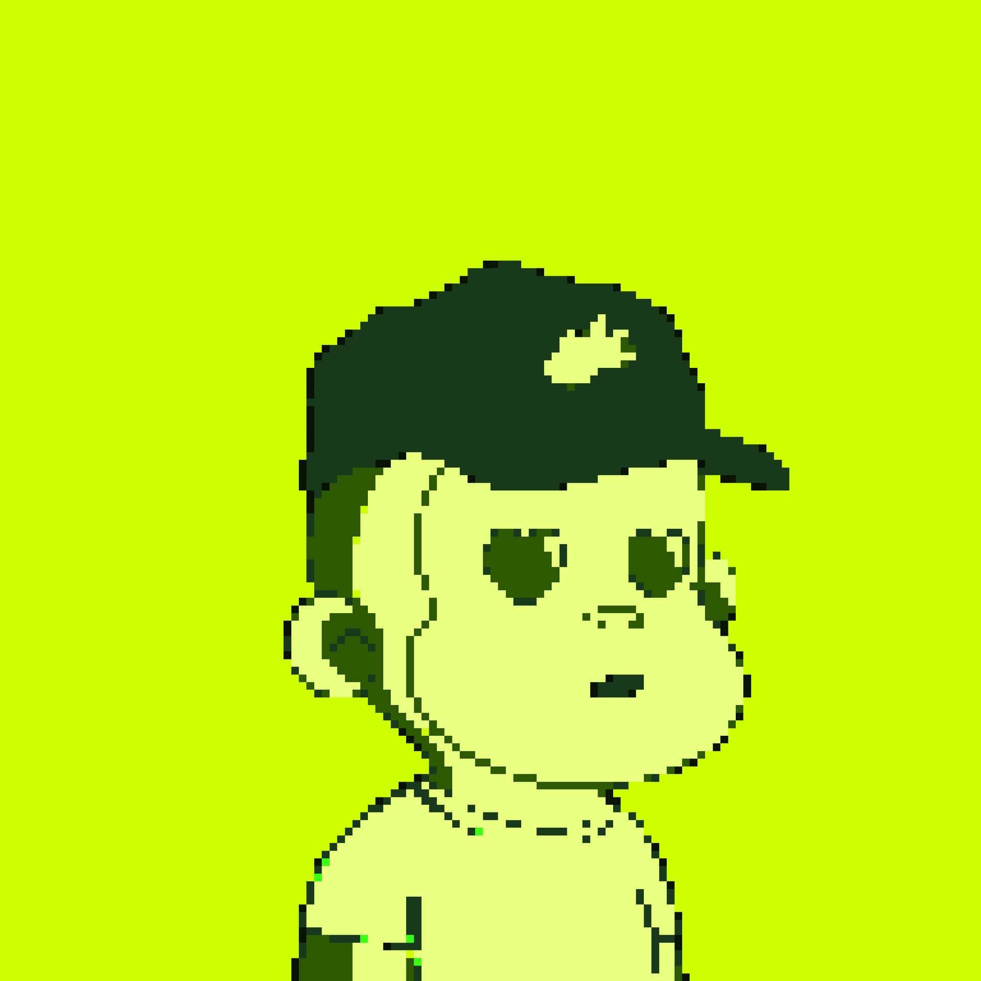 Hood Primate #2316