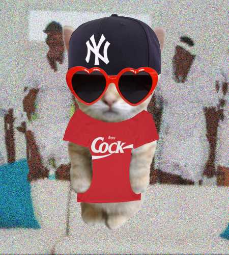 Cate #46