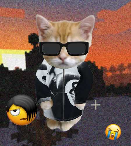 Cate #477