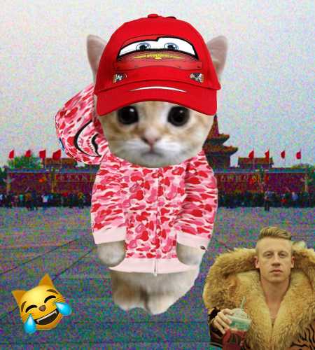 Cate #80
