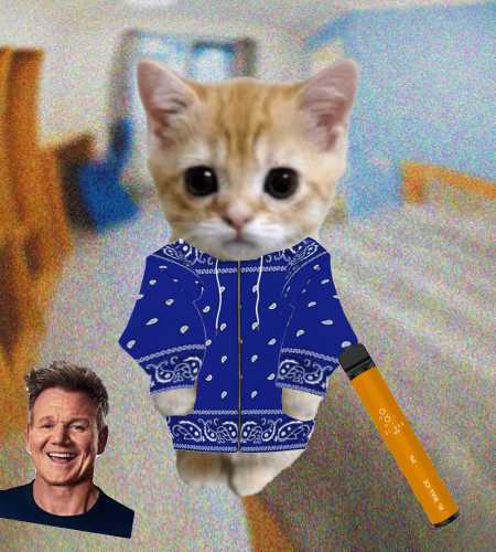 Cate #926