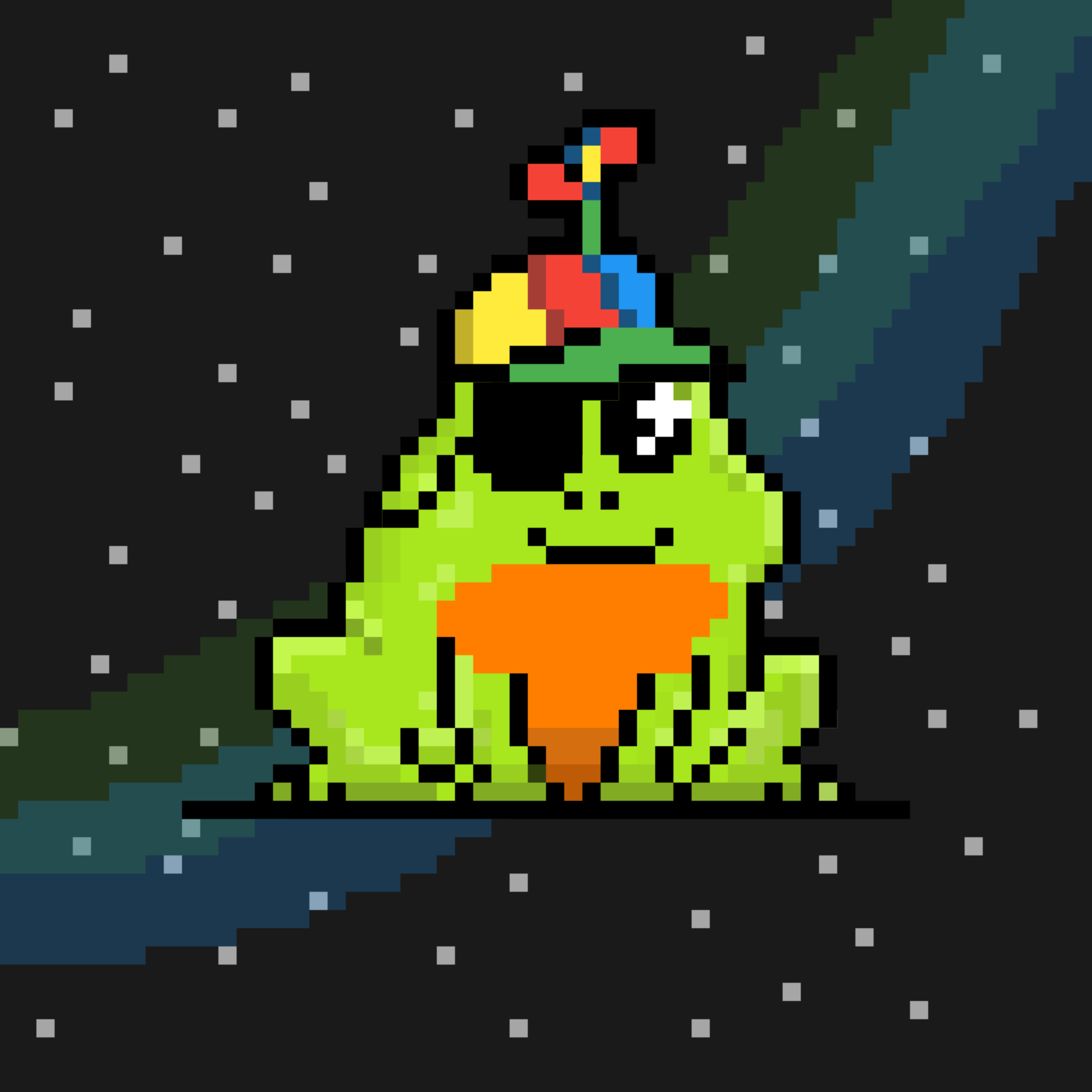 Toad 11