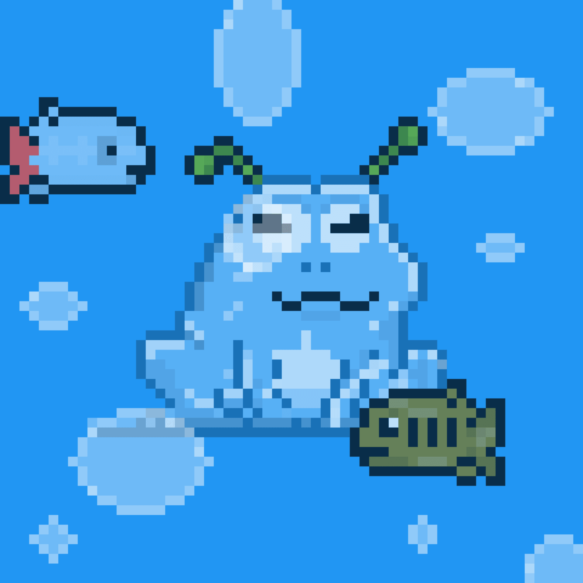 Toad 1204