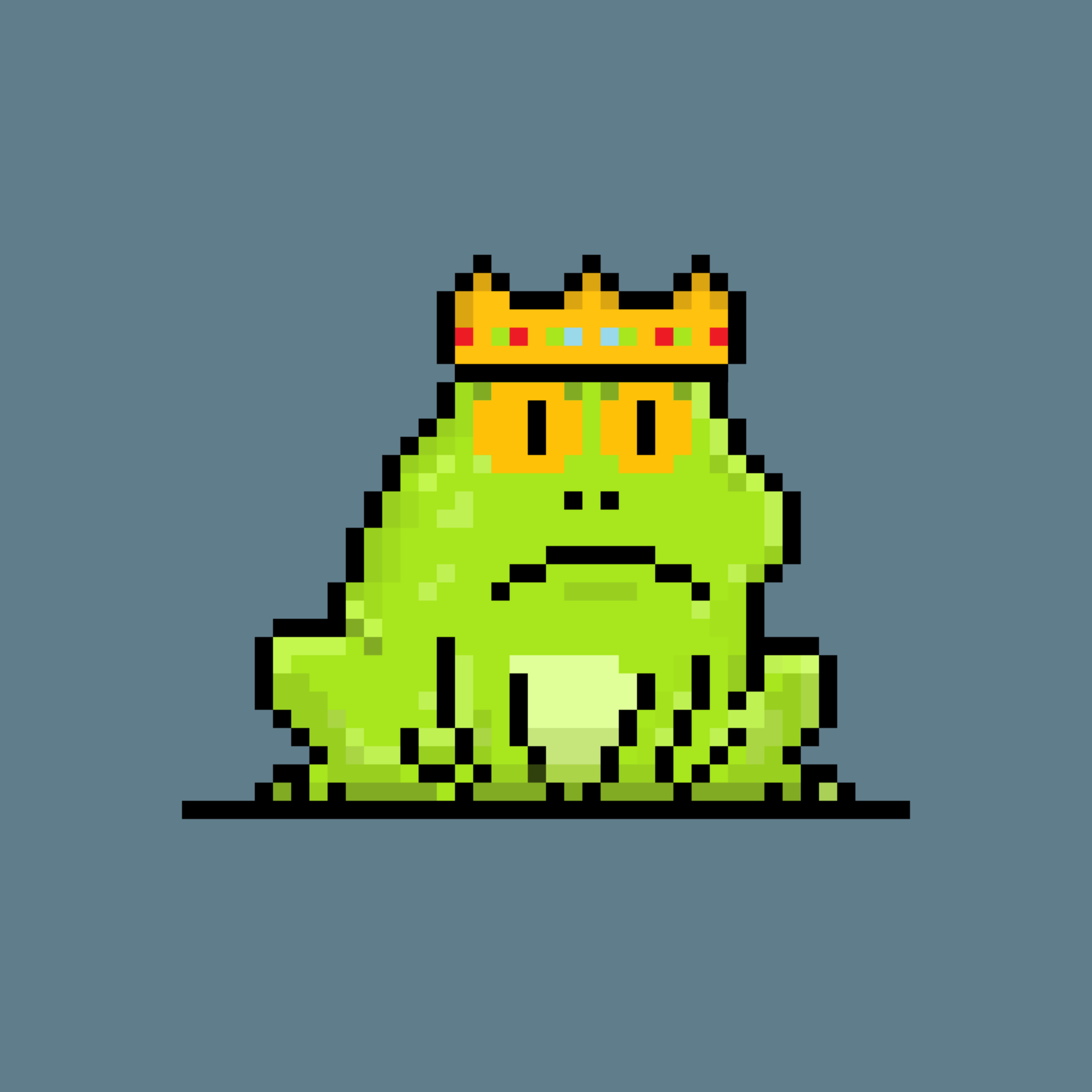 Toad 1307