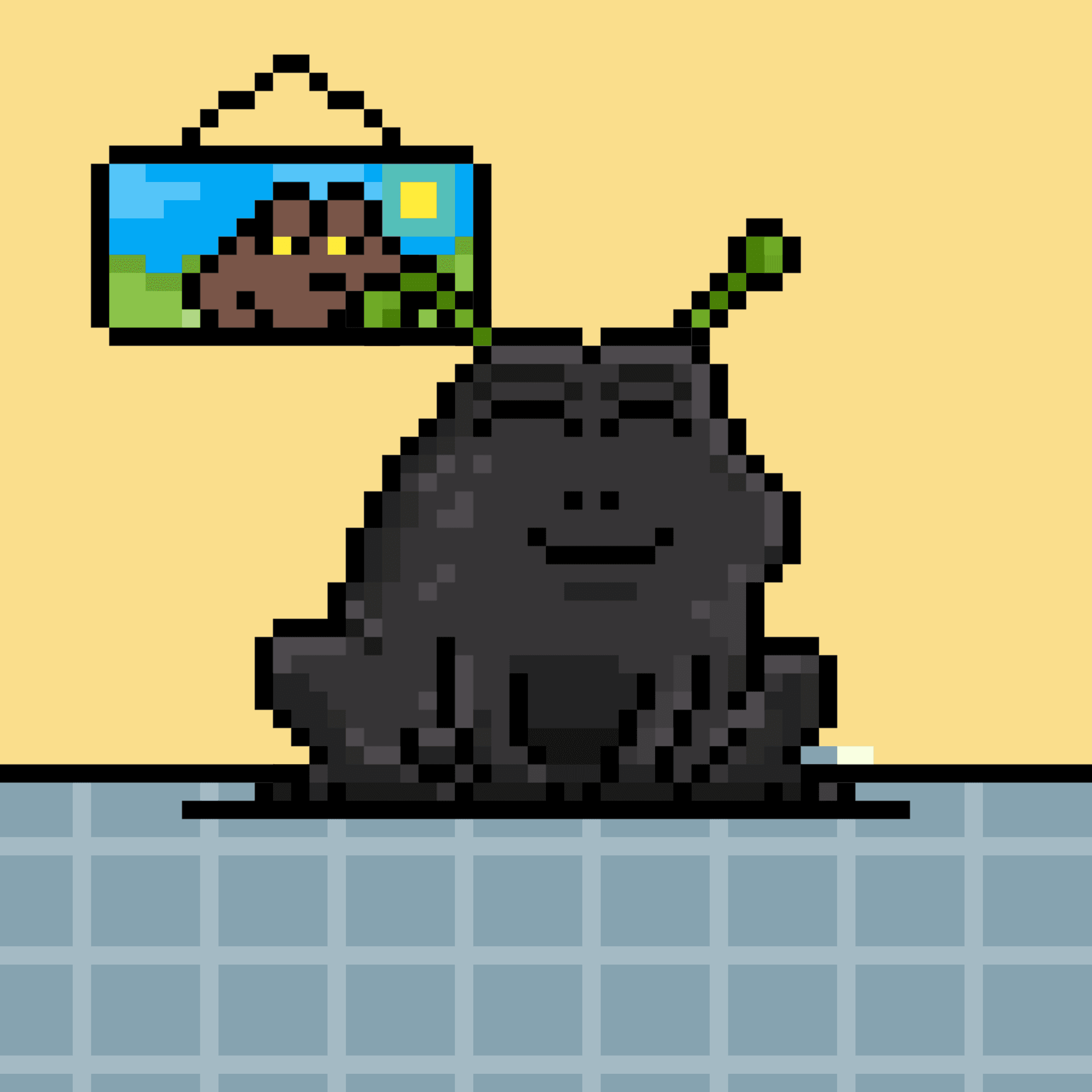 Toad 156