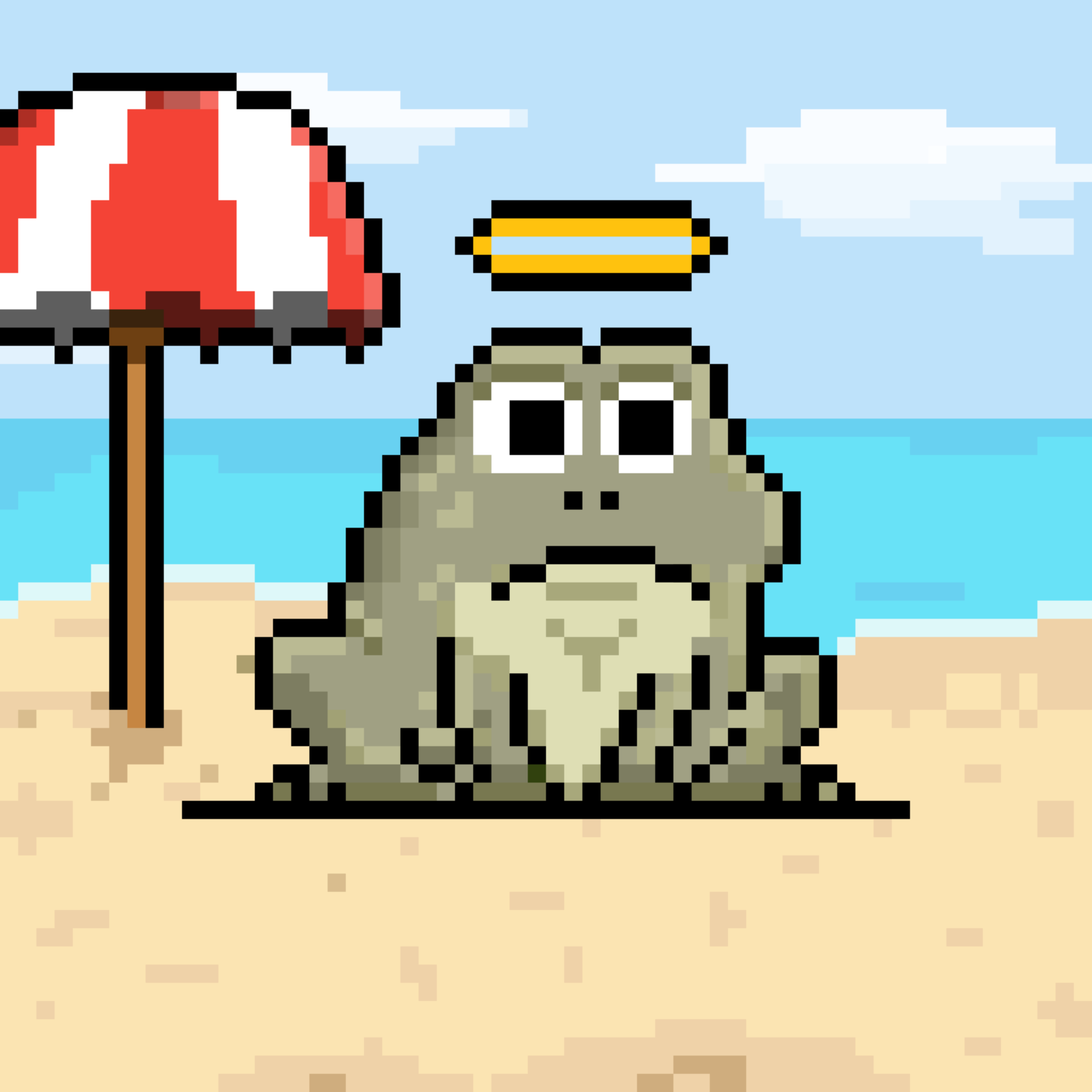 Toad 173