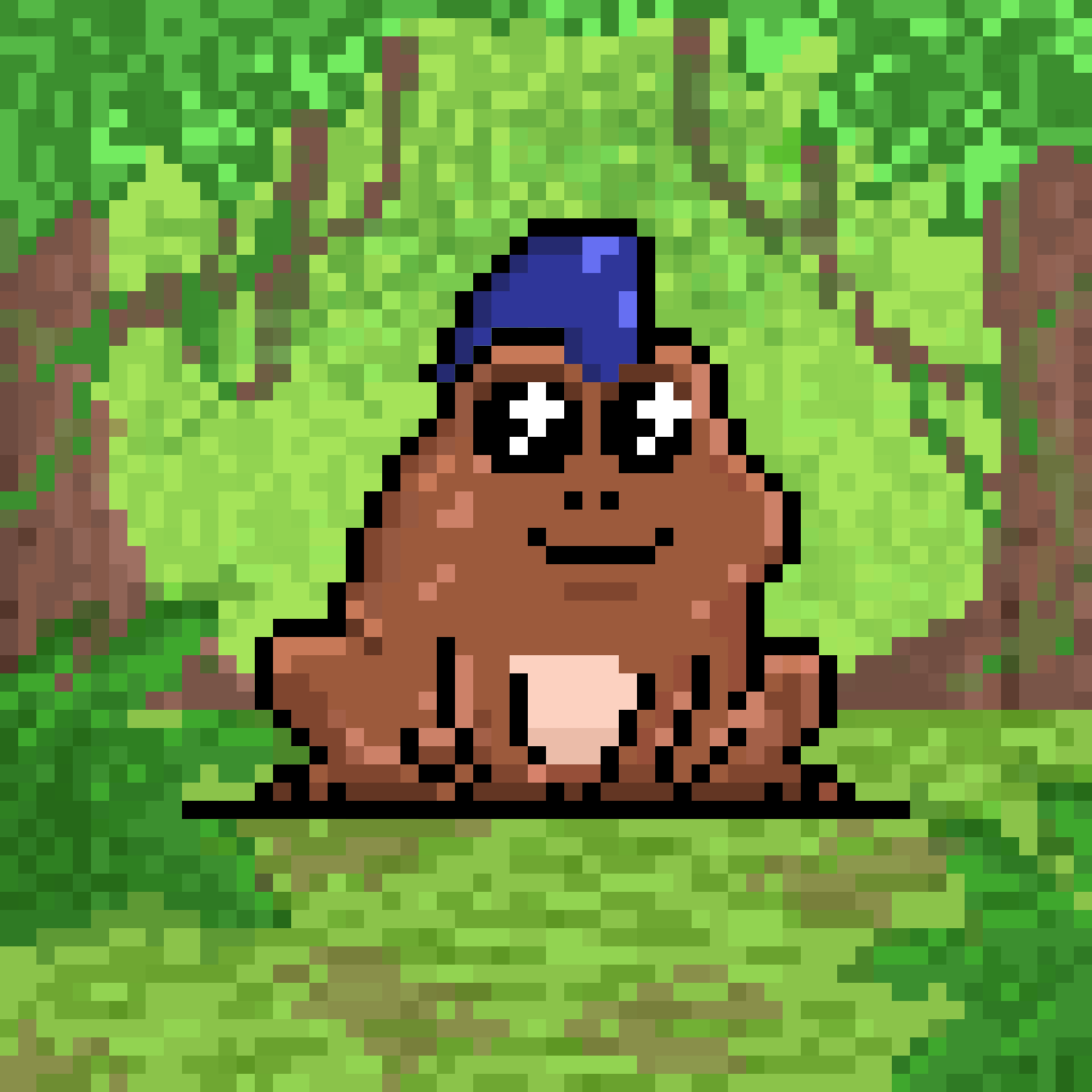 Toad 2108