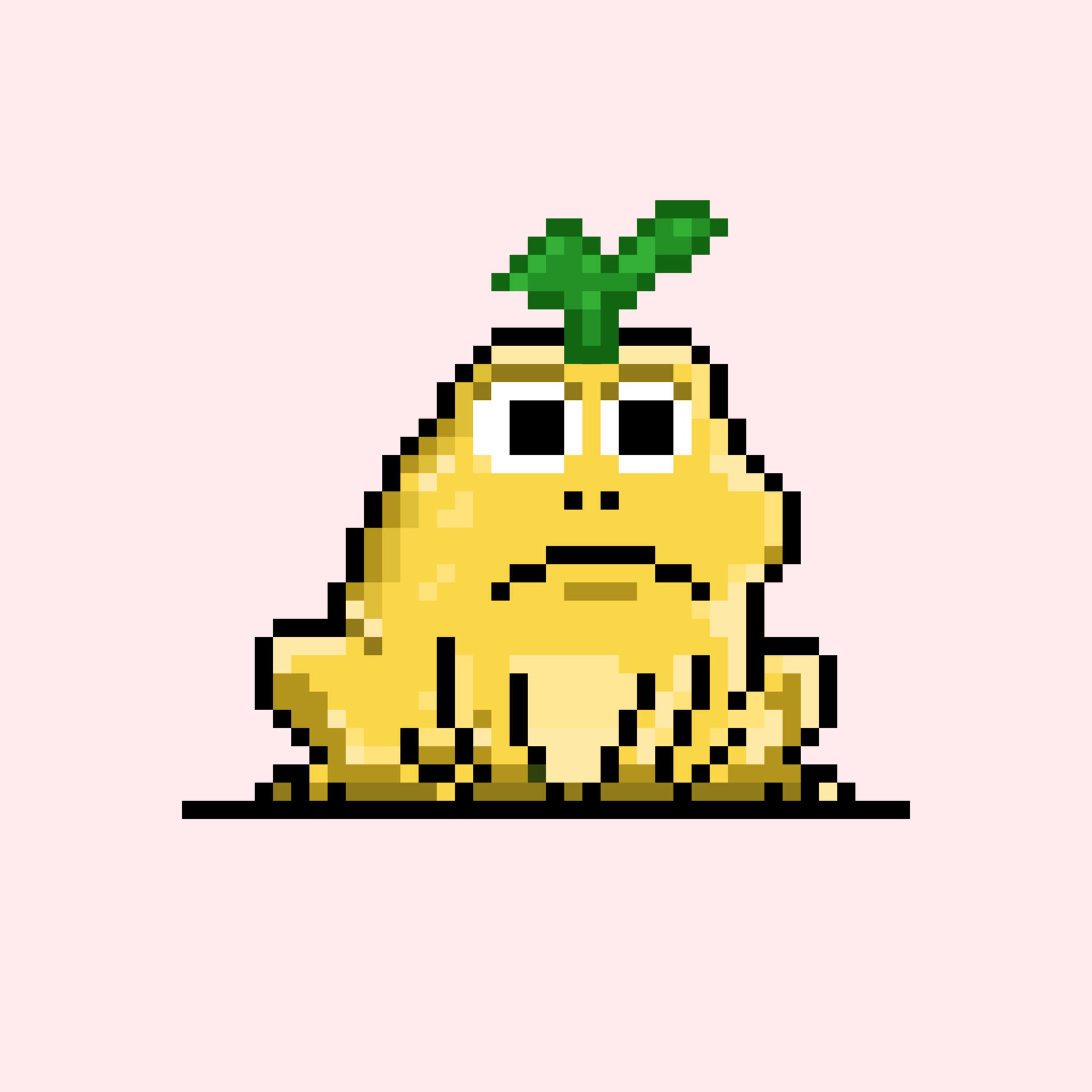 Toad 2311
