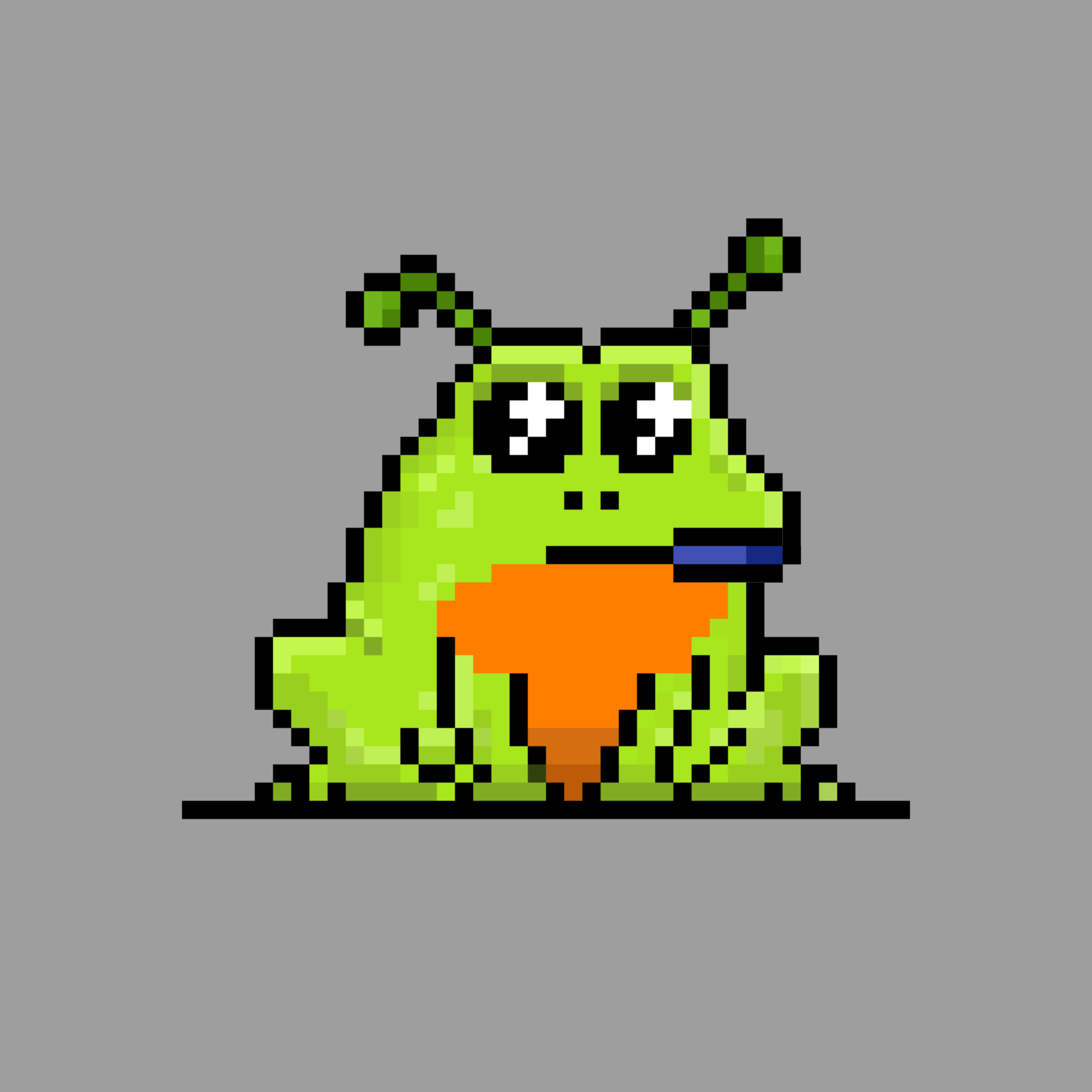 Toad 2512