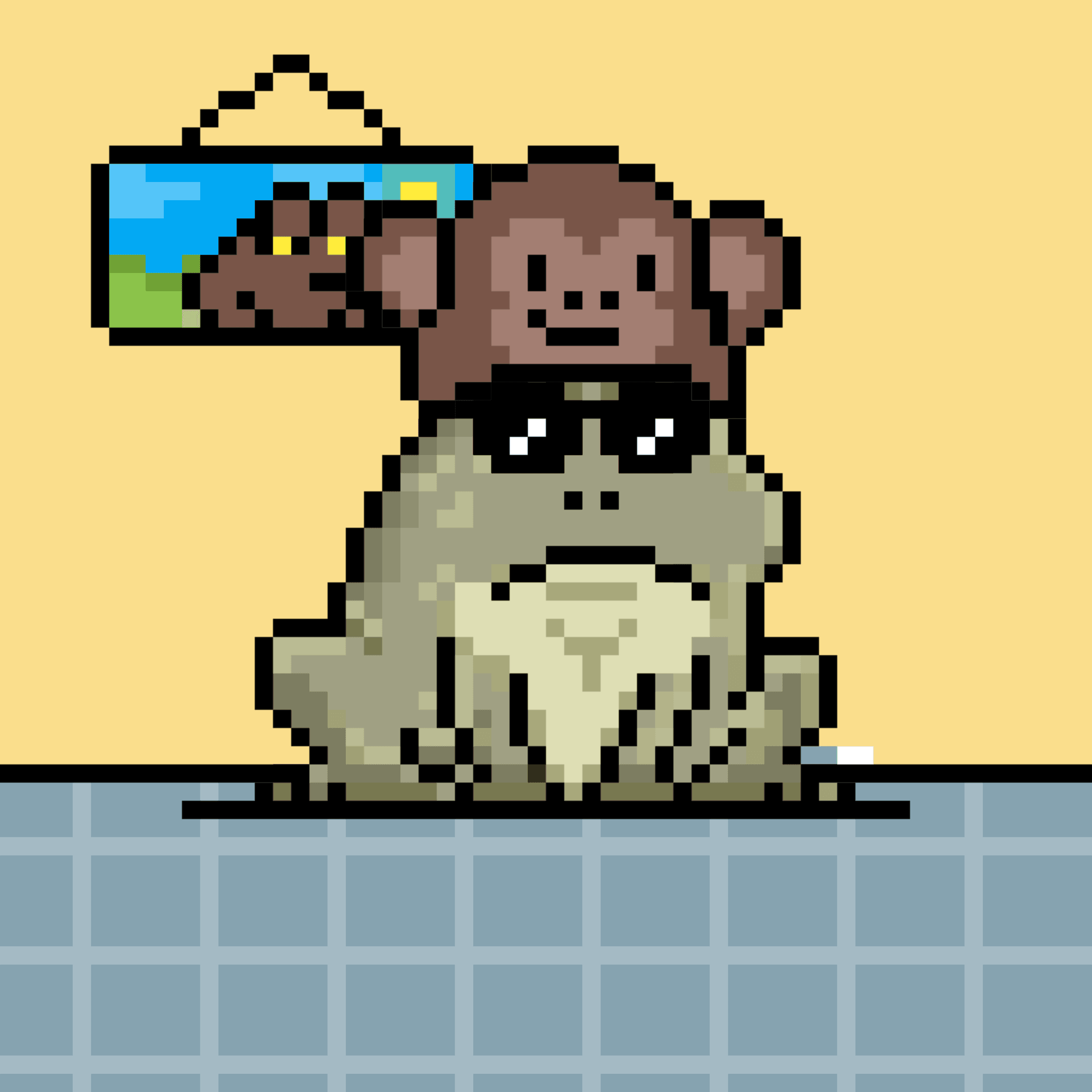 Toad 2551
