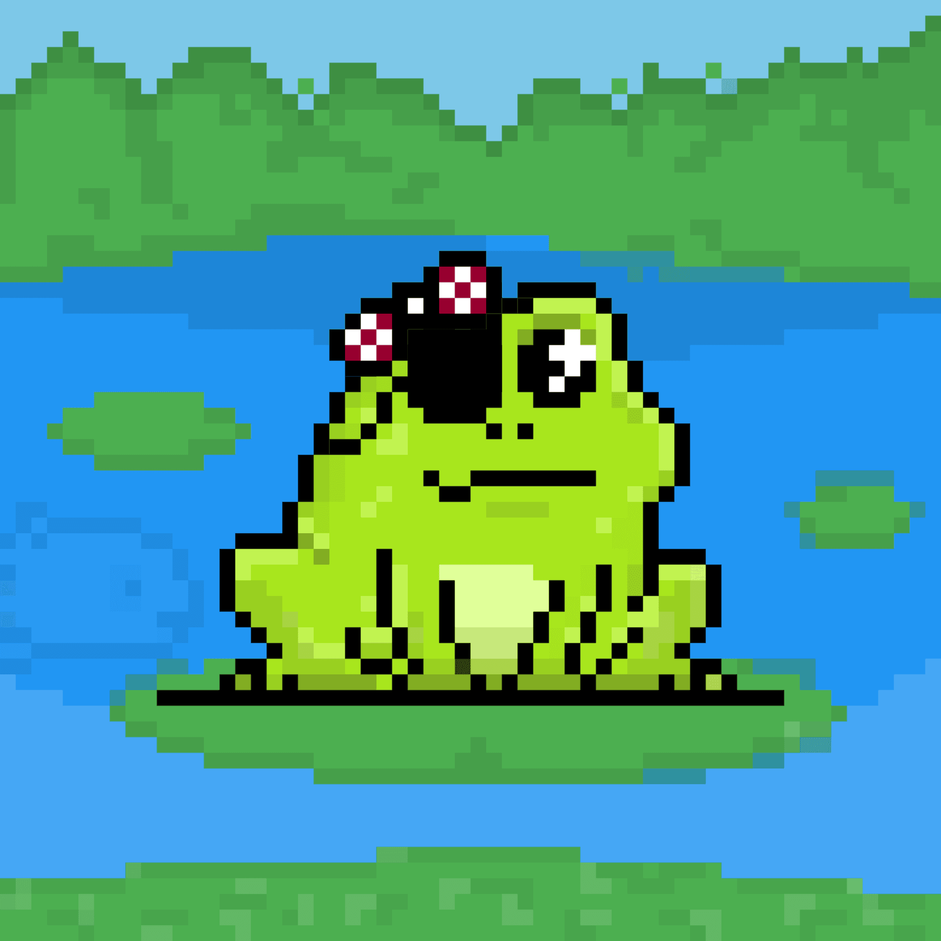 Toad 2904