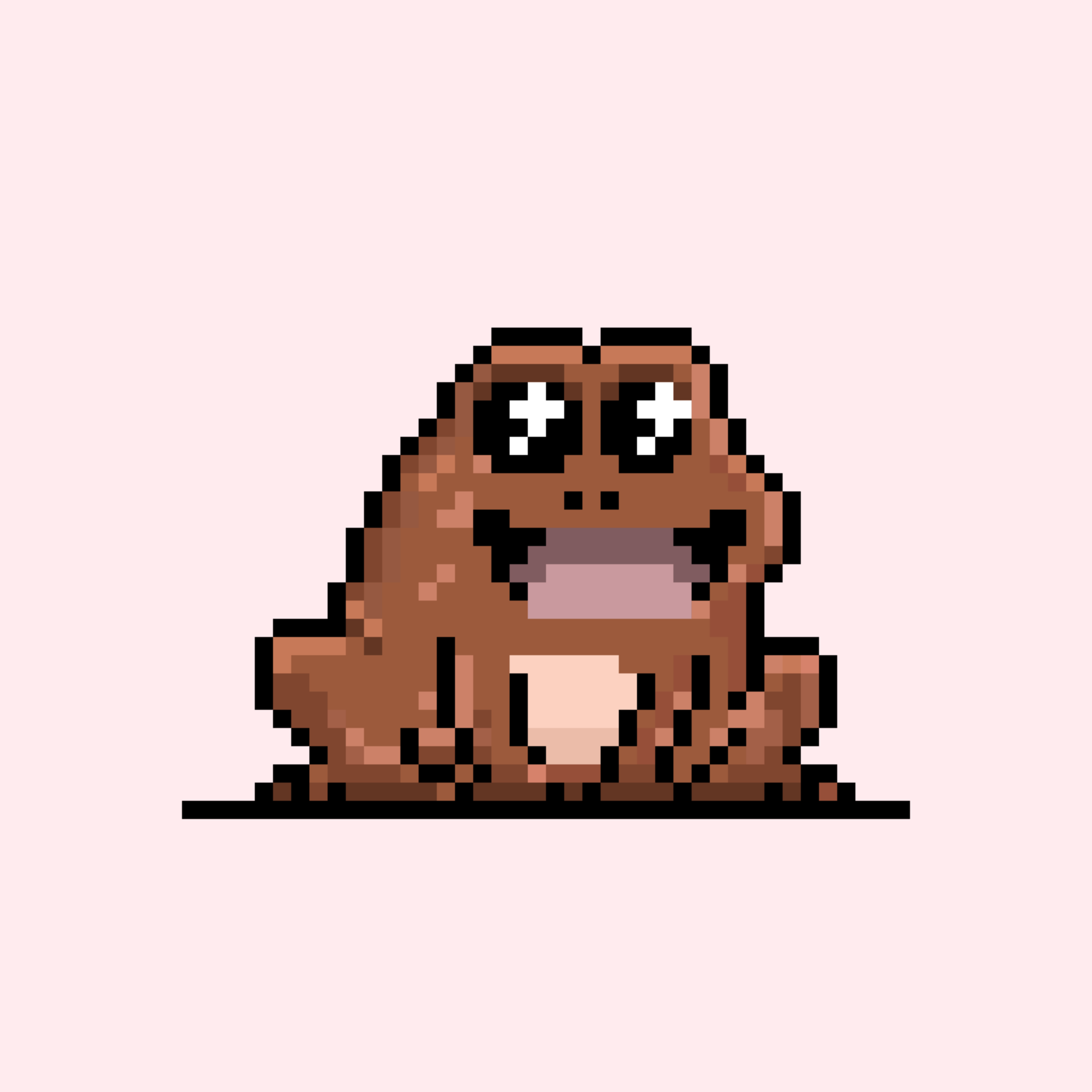 Toad 2958