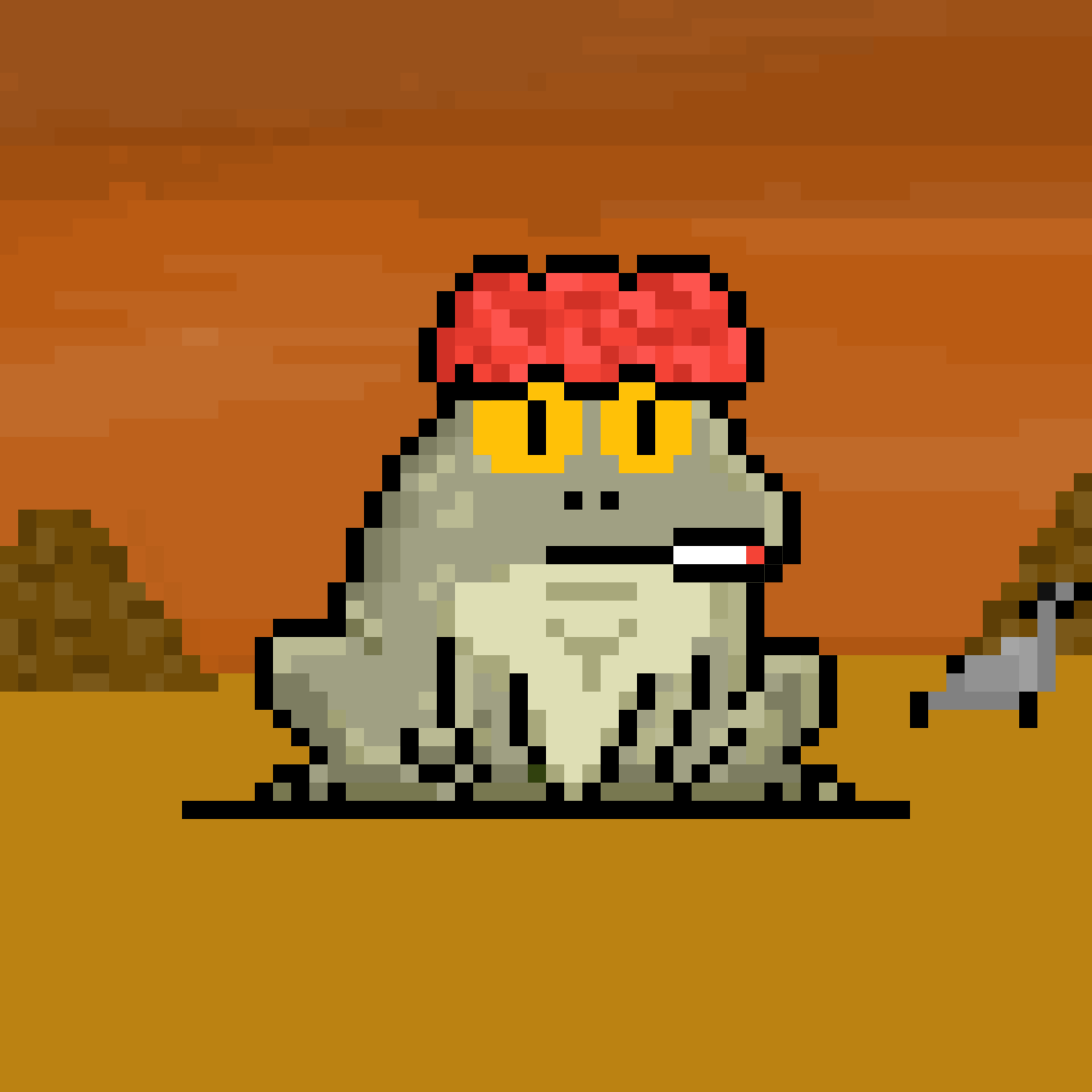 Toad 2970