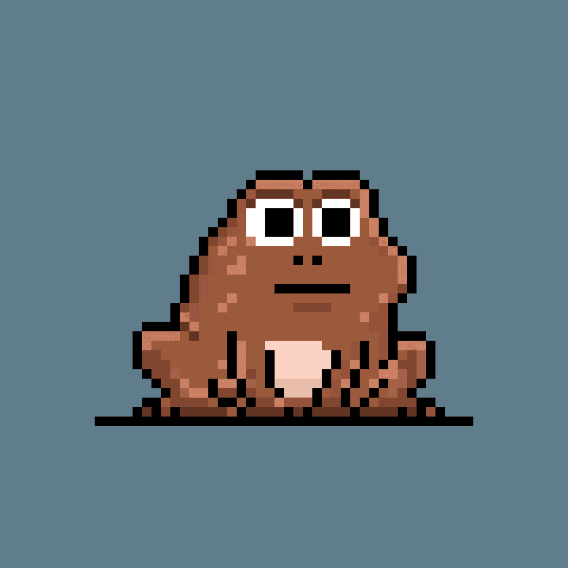 Toad 500