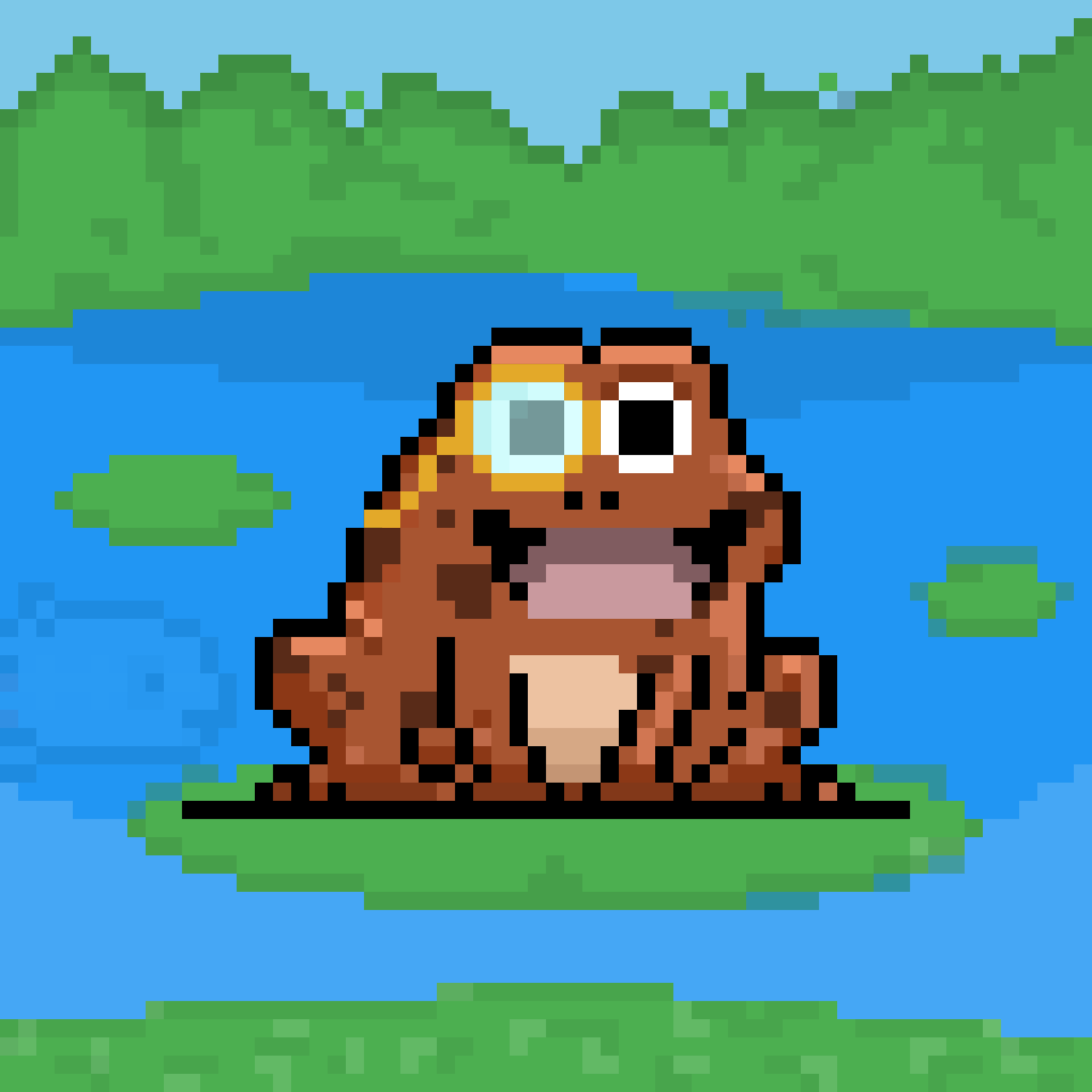 Toad 562