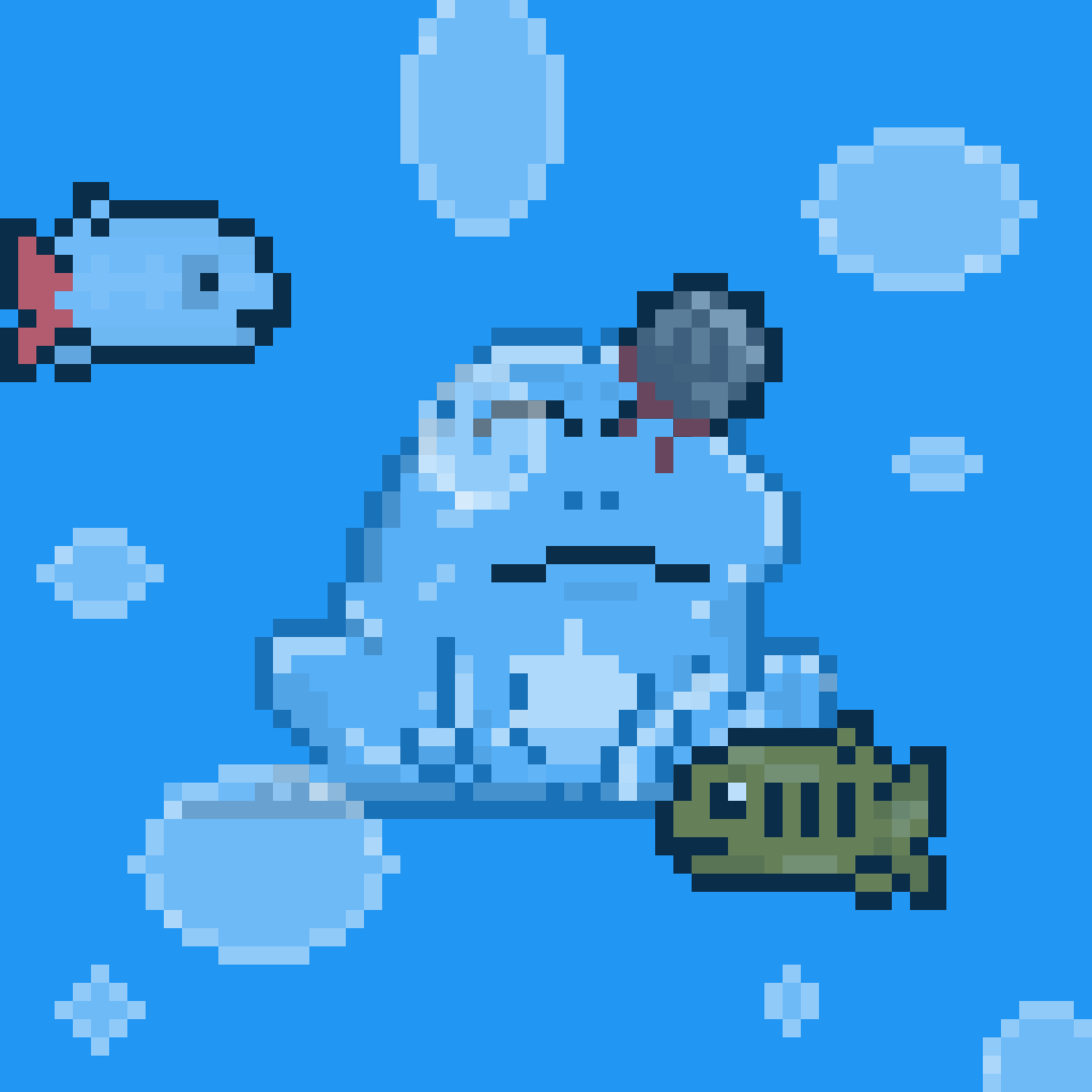 Toad 891