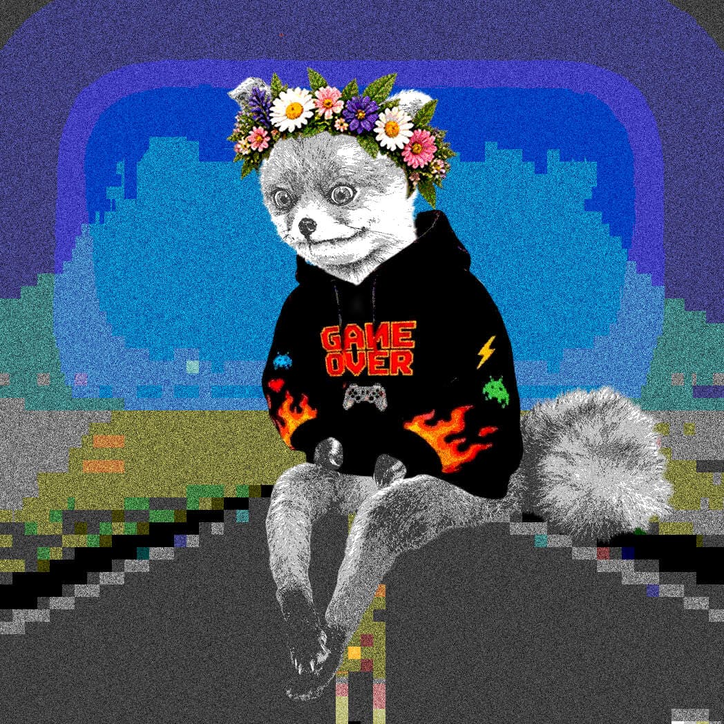 Cash Fox #3171