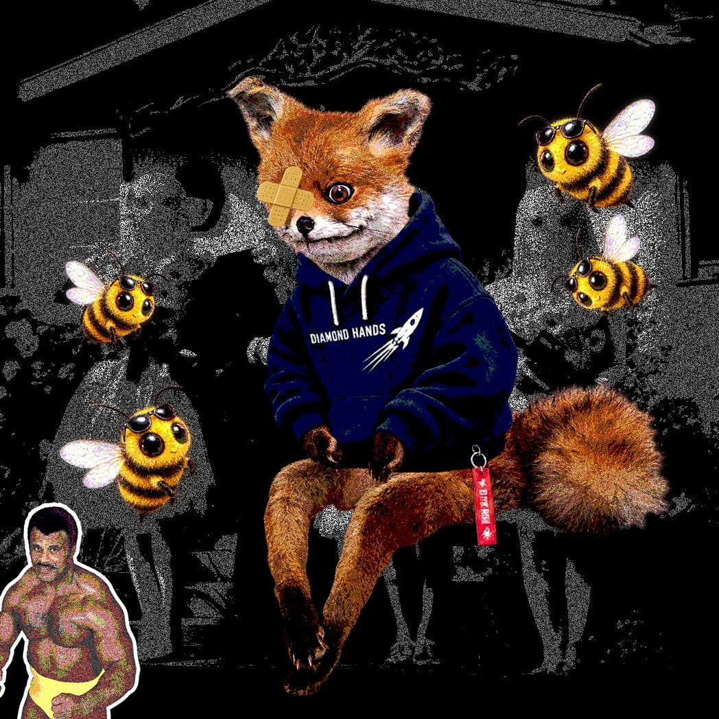 Cash Fox #4815