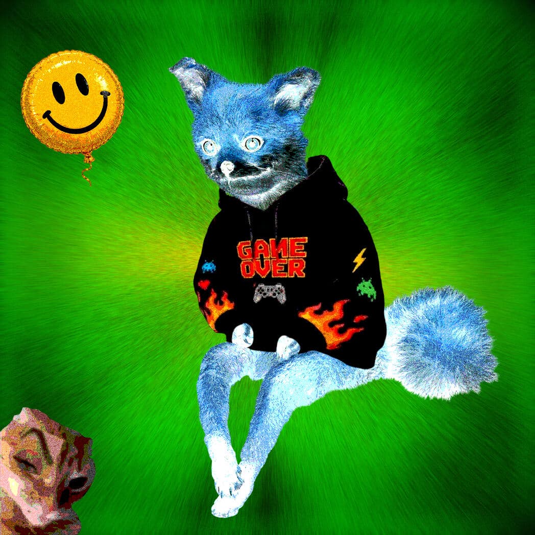 Cash Fox #4816
