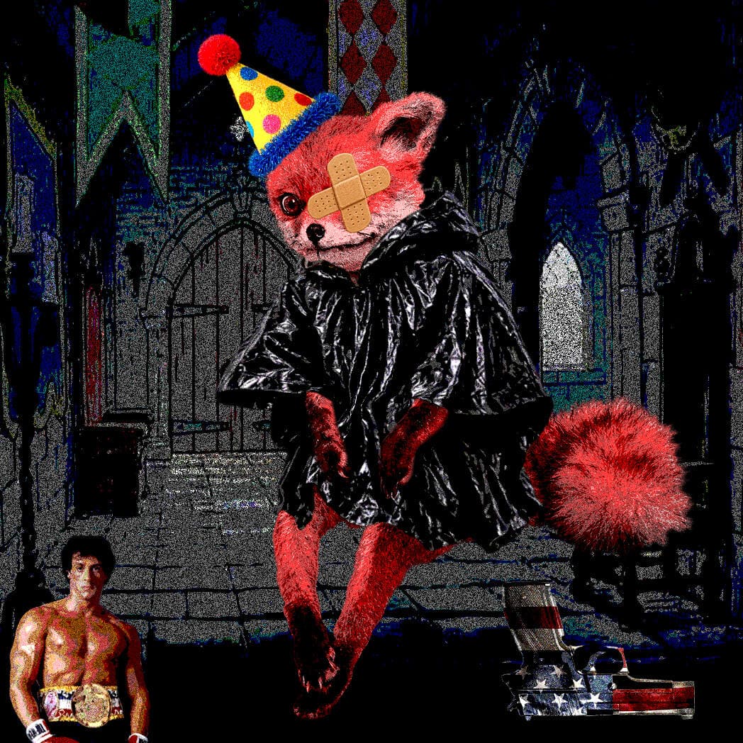 Cash Fox #4817