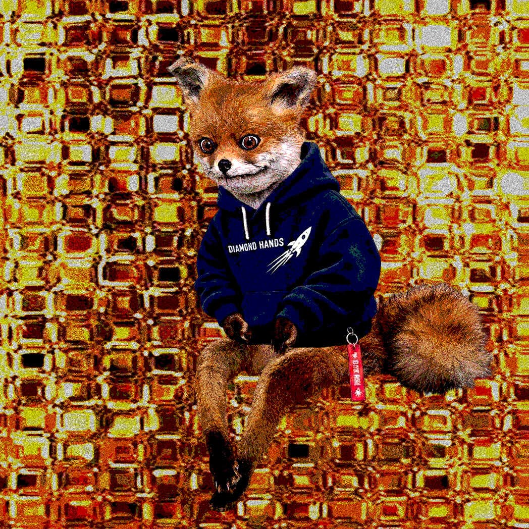 Cash Fox #728