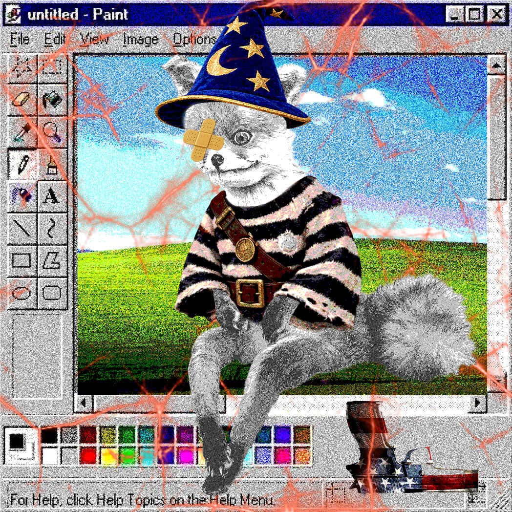 Cash Fox #9954